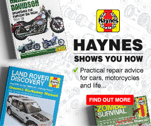 haynes