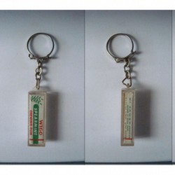porte-clés chewing gum Wigg spearmint (pc)
