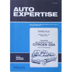 Auto Expertise Citroën GSA