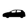 Punto Evo