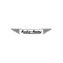 Austin-Healey