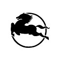 Pegaso
