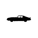 Camaro II