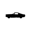 Mustang 1964-73